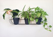 20201119_104542.jpg